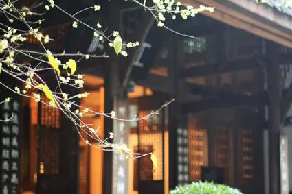 A quiet courtyard inside the shrine