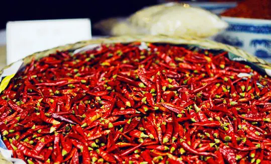Dried red chillies, the base note of a Chongqing kitchen