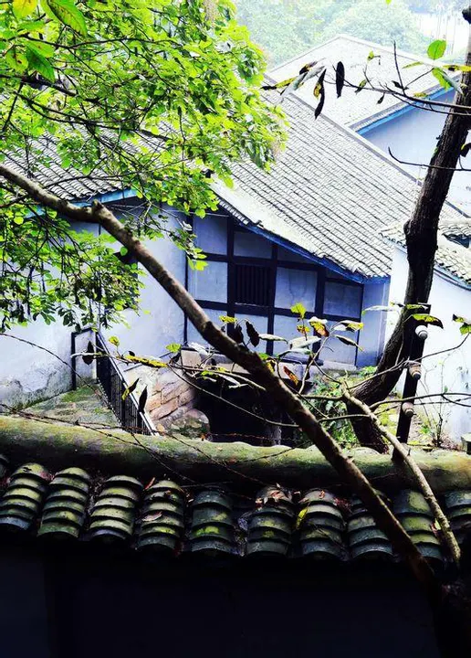 Ciqikou: grey tiles, banyan trees and a stone lane running downhill