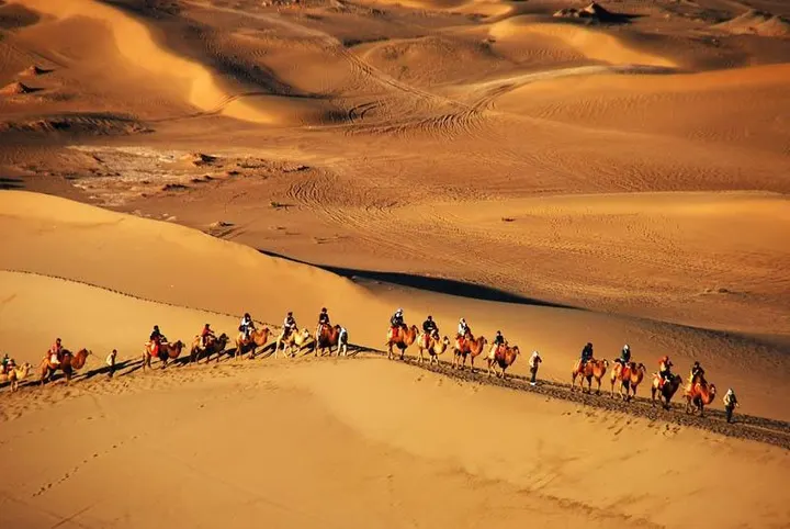 A camel train strung along a crest in the last of the light
