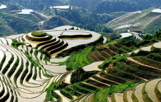 Stand above the Longji terraces