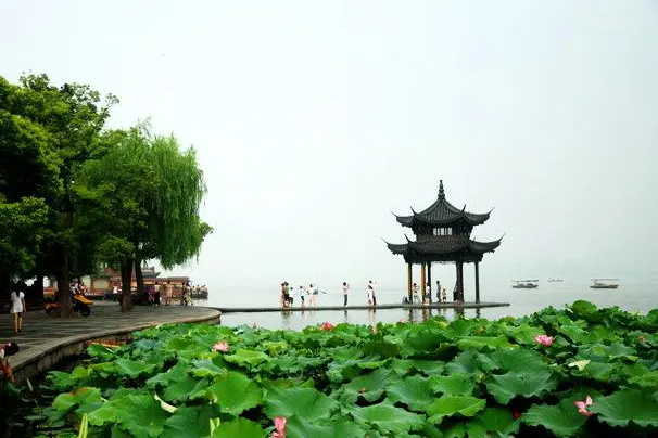 The lake pavilion above a summer lotus pond