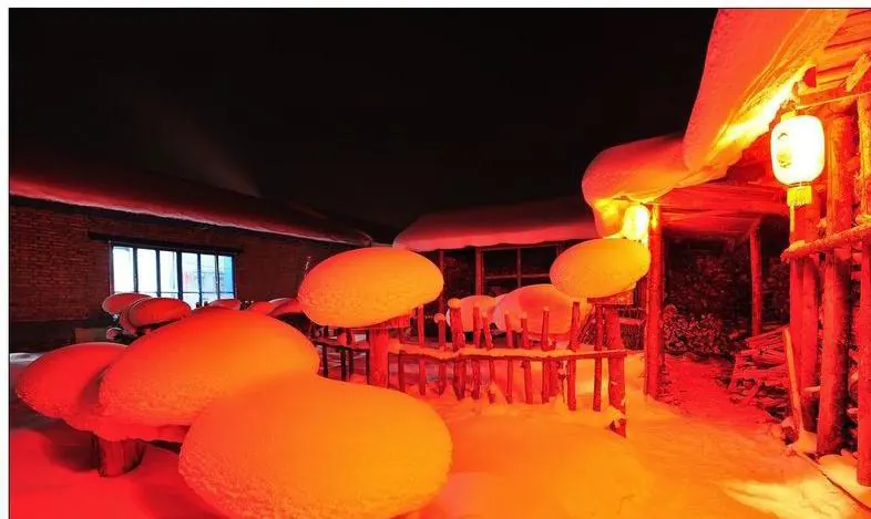 Snow mushrooms and red lanterns by night