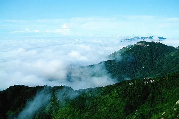 从山脊往下看：云把谷地填平，几道长满树的山脊露出云面，天是干净的高原蓝，右侧远处的山脊压着一层薄雾
