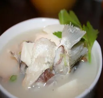 一碗鱼头豆腐汤：奶白的汤里是切块的鱼头和豆腐，面上浮着几片香菜