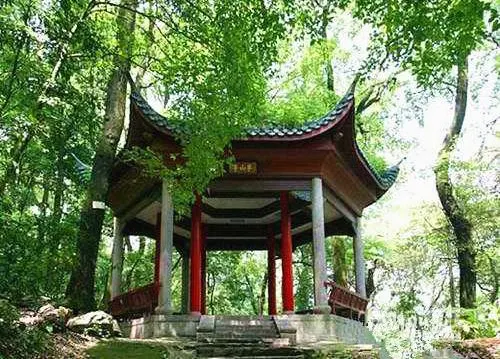 半山亭：红柱、深色瓦、四面通透的方亭，石阶从正面上去，背后全是密密的树