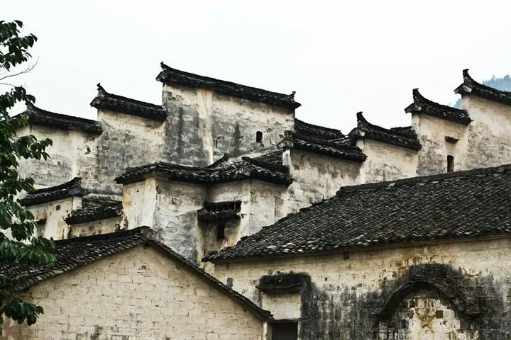 Horse-head walls and skywells: white is not decoration