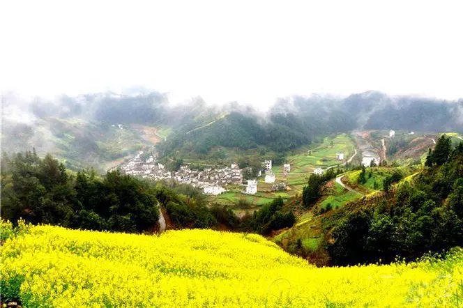 Rapeseed outside the village in spring, the white houses sitting in the middle of the valley