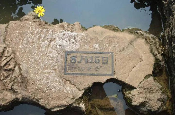 数生步：找自己生日的那块石头