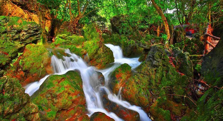 天星桥的石缝水道：青苔、暗红色的藻类和被水磨圆的石头