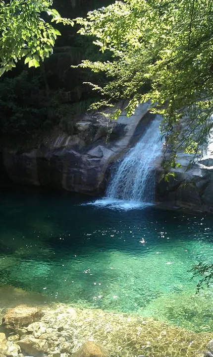 A pool in Emerald Valley: water dropping over a rock lip into a green so clear the stones show through