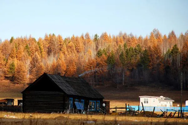 A timber cabin in early October — blue window frames, the whole larch slope behind it turned