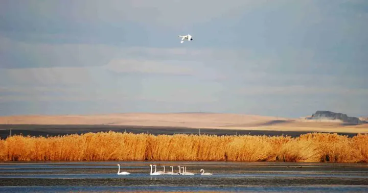 Hulun Lake: the biggest water in Inner Mongolia