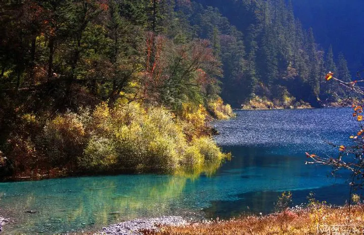 At the shore the colour thins over the shallows, and fallen leaves settle on the travertine