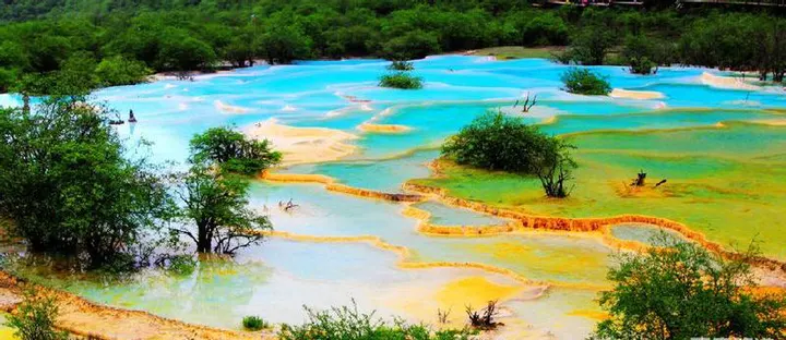 Huanglong's terraced pools, shallow enough to read the travertine floor through the water