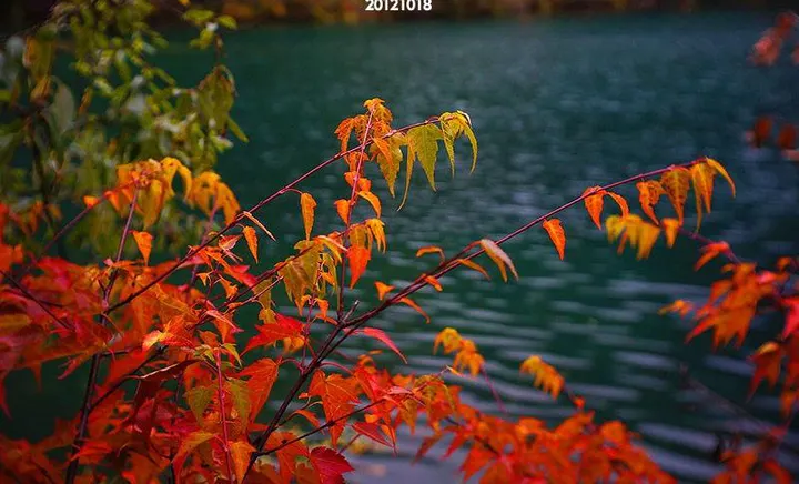The October woods