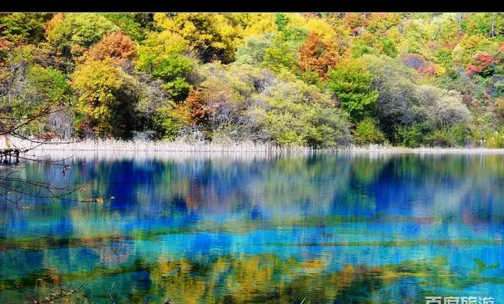 On a windless morning the far bank sinks whole into the water