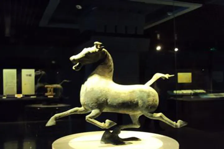 Meet the Galloping Horse