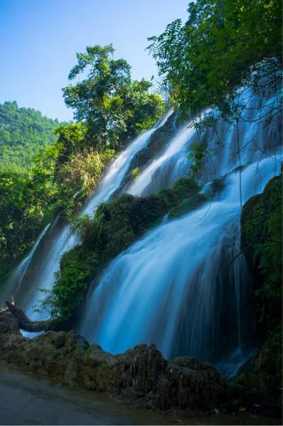 A fall coming down the cliff in one bright sheet, dense forest behind it