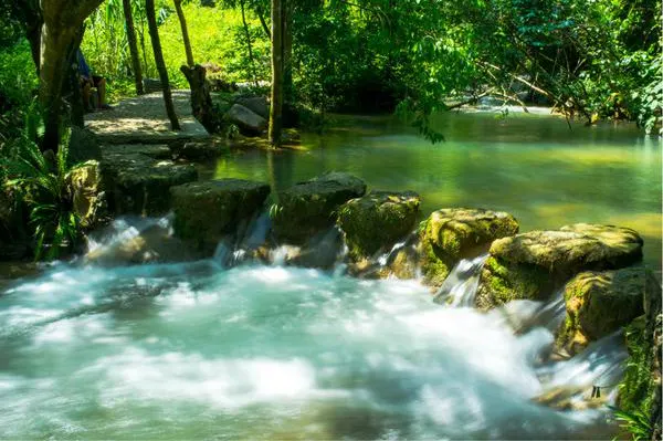 The water forest: take your shoes off