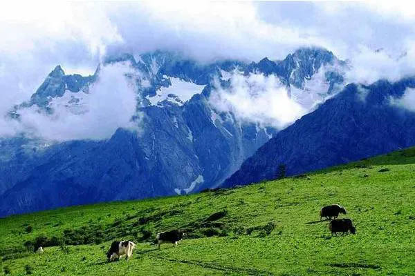 Glacier Park on Jade Dragon Snow Mountain