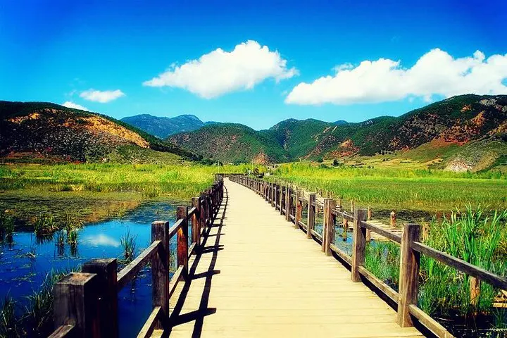 The Reed Sea and the Marriage Bridge