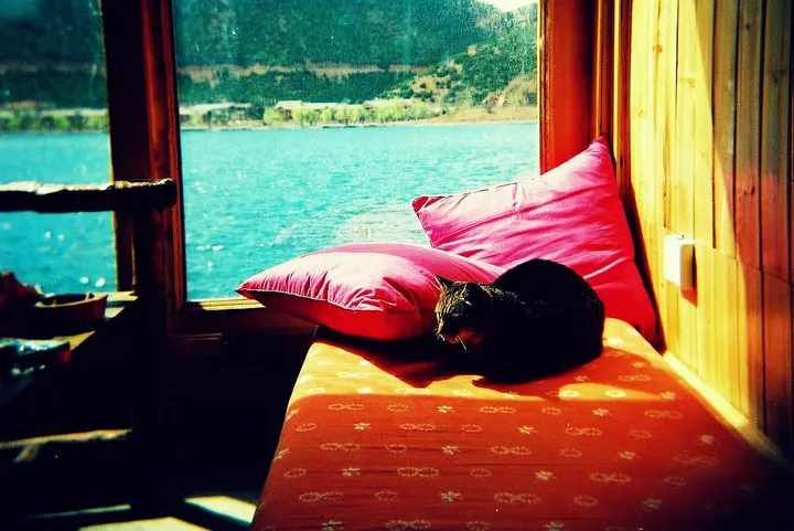 A lake-view room: the window frames the water in three panels, and the cat got the bed first