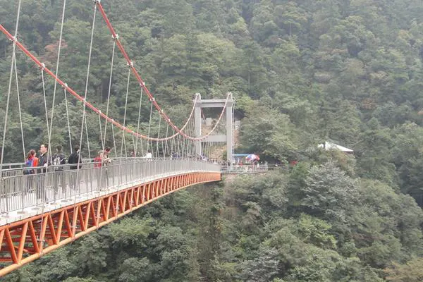The footbridge over the gorge — orange steel truss, cables, walkers midway, trees on both banks