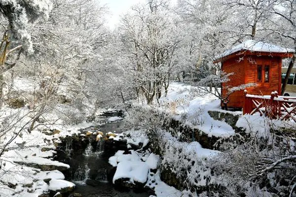 Snow, and rime on everything