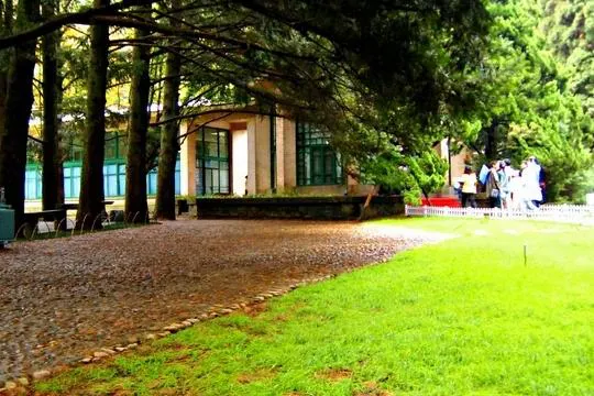 Gravel and lawn in front of an old villa, light broken up by pines, a few visitors walking in with umbrellas