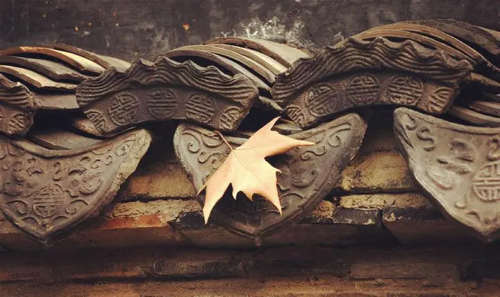A fallen leaf on Ming roof tiles: autumn here is short and precise