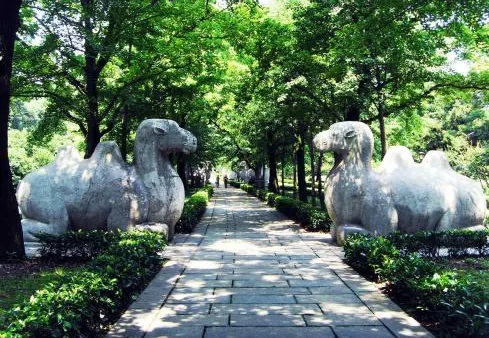 Walking the stone-elephant avenue at the Ming Xiaoling Mausoleum