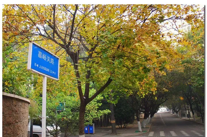八大关的十条路
