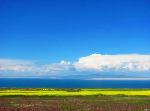 七月的南岸：油菜花带后面就是湖，湖面几乎与地平线齐平，天上堆着积云