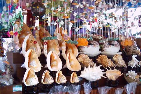 Shells, pearls and carved coconut