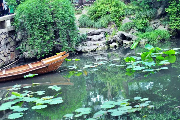 A summer lotus pond, leaves wide enough to cover half a boat