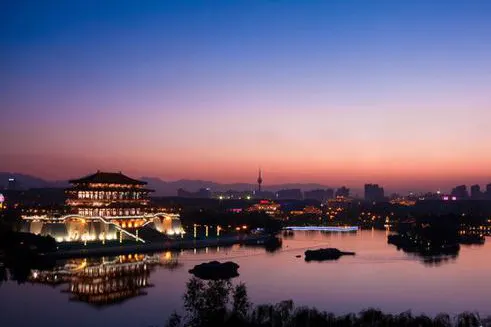 Tang Paradise by night