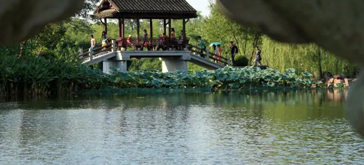 Lotus leaves and open water below a covered bridge
