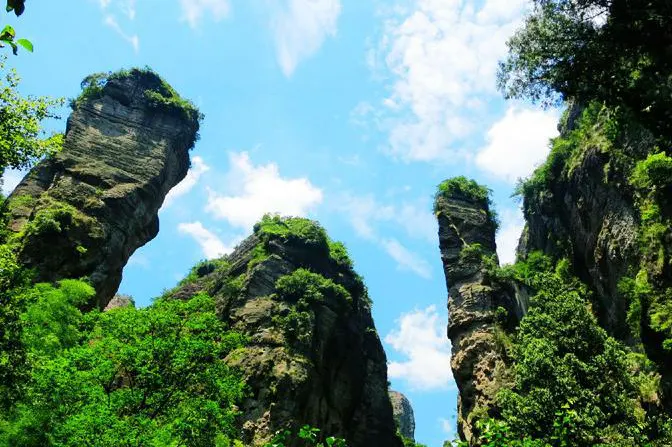 灵峰的石柱：几根流纹岩并排立着，缝里长满灌木，天蓝得几乎不真实