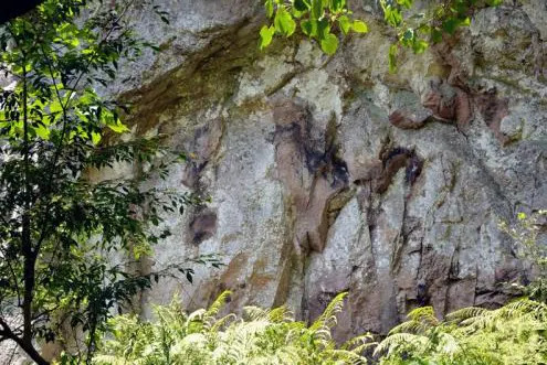 岩石近景：流纹岩的流纹和风化痕，缝里长着蕨类