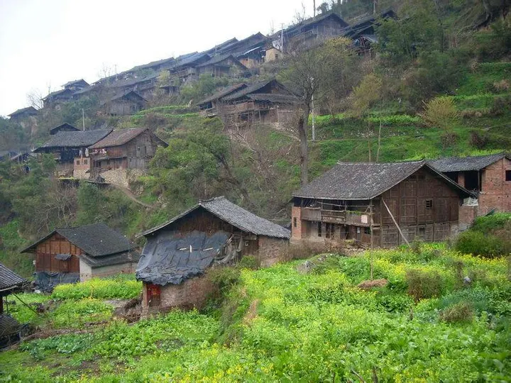Timber houses on a hillside: grey tiles, board walls, vegetable plots at the door