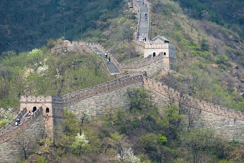 A restored stretch above the trees