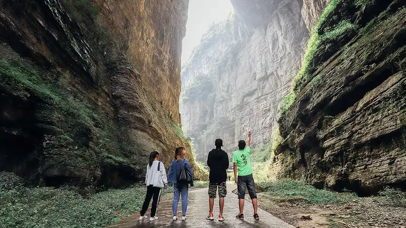 Chongqing wulong