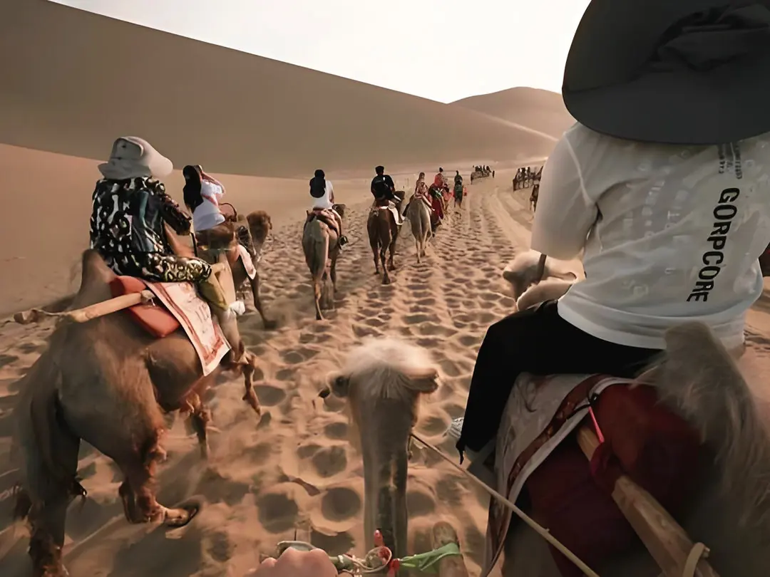 Crossing the dunes by camel