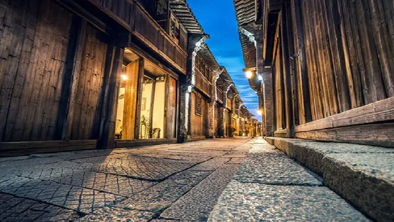 A timbered lane at night