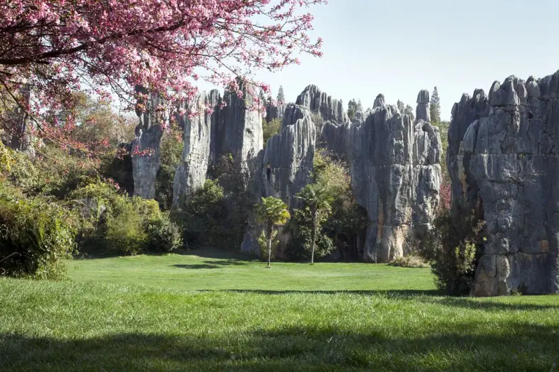 Green between the limestone