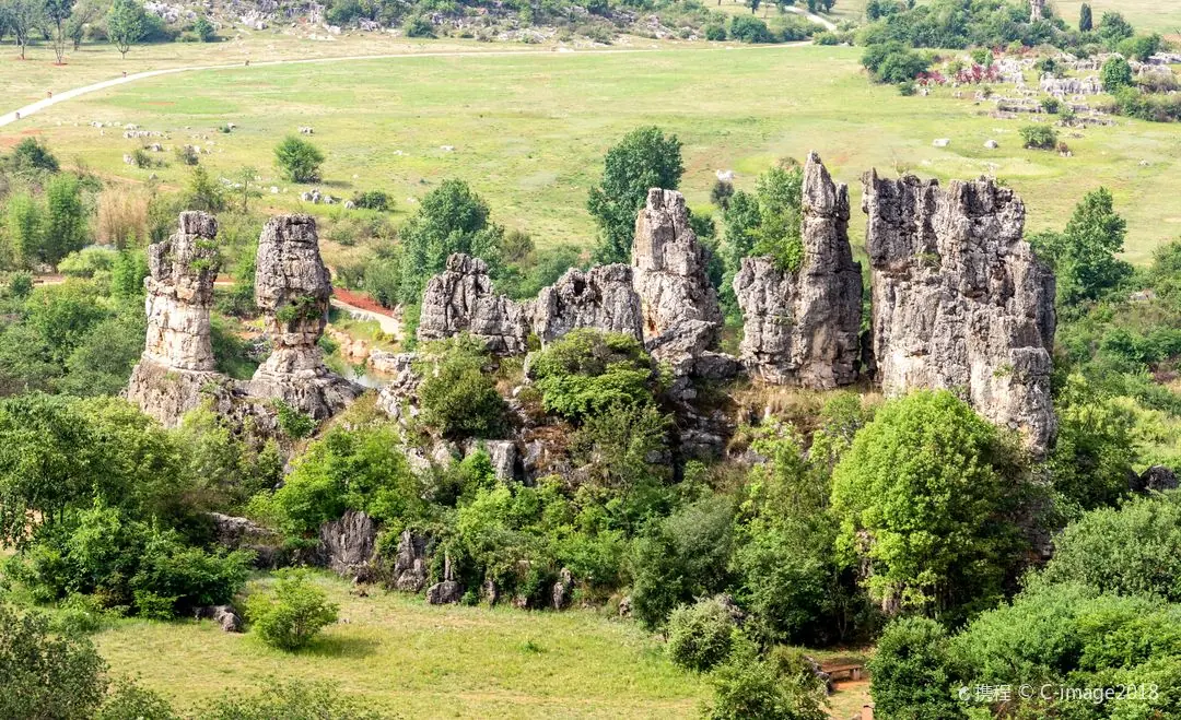 Stone Forest · Kunming