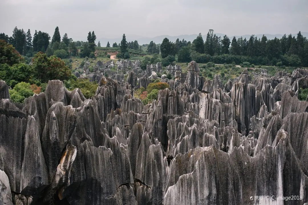 Limestone pinnacles packed into the basin