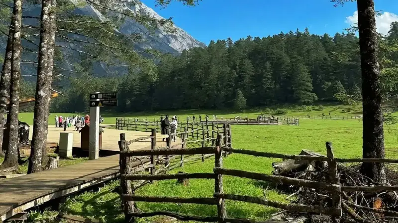 Spruce Meadow, at 3,506 m