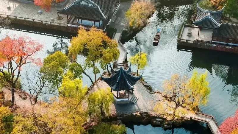Maples reflected in the water
